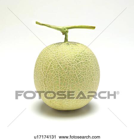Stock Image - Melon. Fotosearch