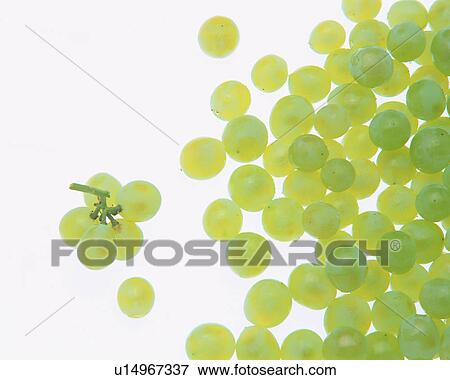 Muscat View Large Photo Image Stock Photo - Muscat. Fotosearch