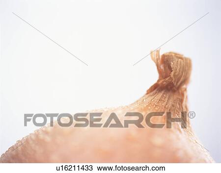 Stock Image - Onion, close-up. Fotosearch