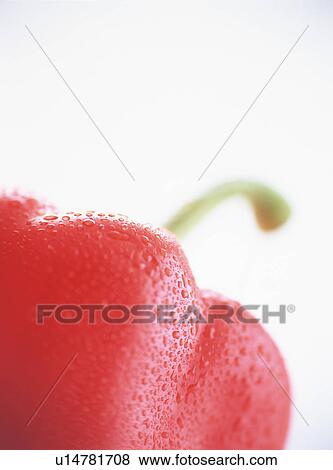 Stock Photo - Paprika, close-up. Fotosearch