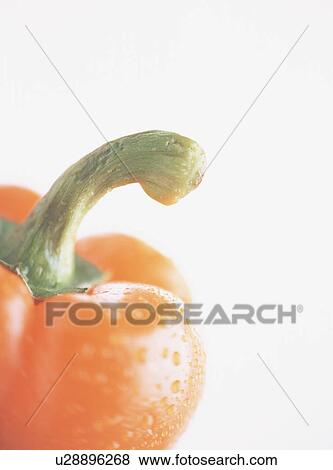 Stock Photo - Paprika, close-up. Fotosearch