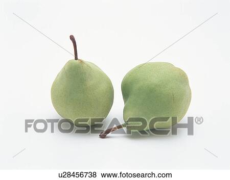 Stock Photo - Pear. Fotosearch