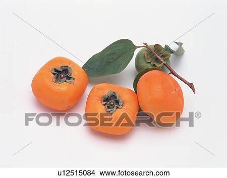 Persimmon View Large Photo Image Picture - Persimmon. Fotosearch