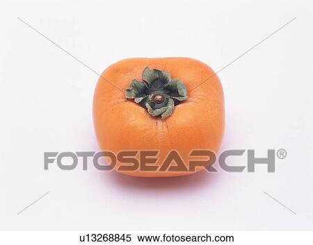 Persimmon View Large Photo Image Stock Photography - Persimmon. Fotosearch