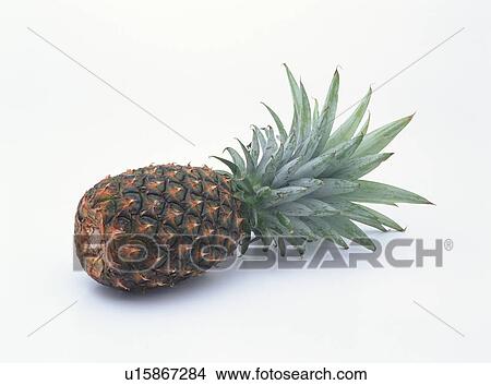 Picture - Pineapple. Fotosearch