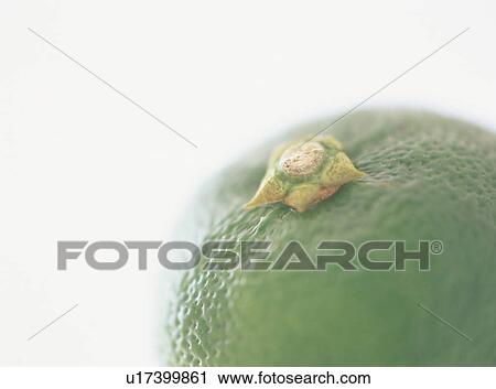 Stock Image - Sudachi, close-up. Fotosearch