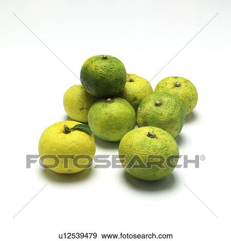 Yuzu View Large Photo Image Stock Photo - Yuzu. Fotosearch