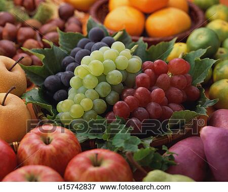 Assorted Fruit View Large Photo Image Stock Photo - Assorted Fruit. Fotosearch