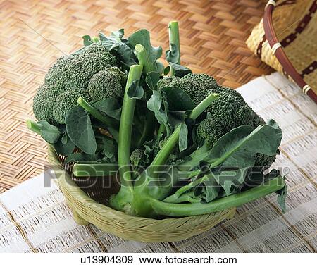 Stock Photo - Broccoli . Fotosearch