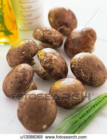 Stock Photo - Brown Mushroom. Fotosearch