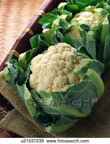 Stock Photo - Cauliflower. Fotosearch