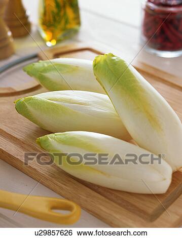 Stock Photograph - Chicory. Fotosearch