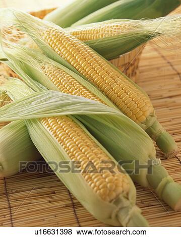 Corn View Large Photo Image Stock Photo - Corn. Fotosearch
