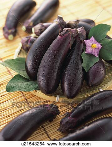 Eggplant View Large Photo Image Picture - Eggplant. Fotosearch