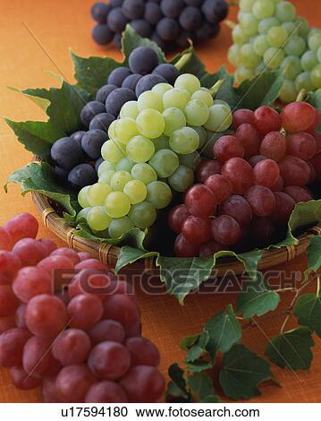 Grapes View Large Photo Image Stock Image - Grapes. Fotosearch