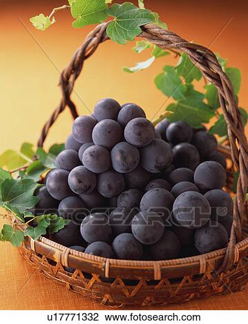Stock Image - Grapes. Fotosearch