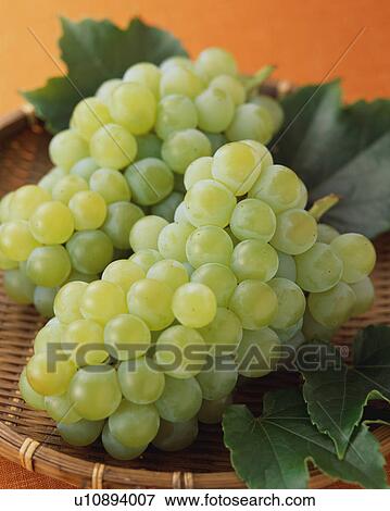 Stock Photo - Grapes. Fotosearch