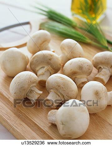 Stock Photograph - Mushroom. Fotosearch