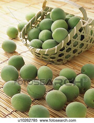 Stock Photography - Plum. Fotosearch