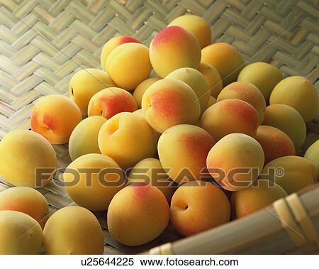 Stock Photography - Plum. Fotosearch