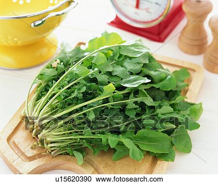 Stock Image - Rocket Leaves. Fotosearch