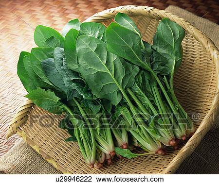 Spinach View Large Photo Image Stock Image - Spinach. Fotosearch