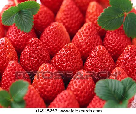 Strawberry View Large Photo Image Stock Image - Strawberry. Fotosearch