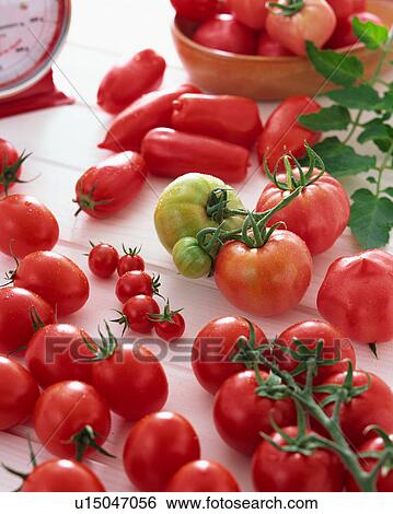Tomato View Large Photo Image Stock Photograph - Tomato. Fotosearch