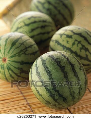 Watermelon View Large Photo Image Stock Image - Watermelon. Fotosearch