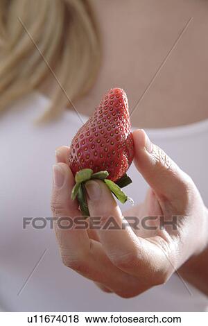 Woman holding whole strawberry, close up View Large Photo Image Stock Photo - Woman holding whole strawberry, close up. Fotosearch