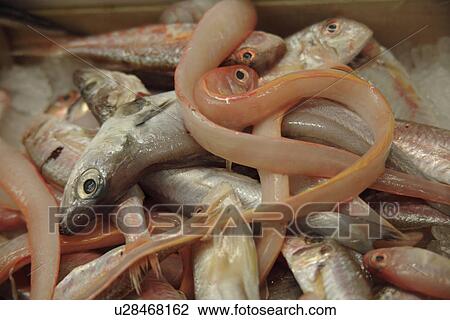 Stock Image - Fish leftovers and bait fish on ice offered at the fish market. Fotosearch