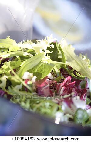 Fresh mixed salad, close up View Large Photo Image Stock Image - Fresh mixed salad, close up. Fotosearch