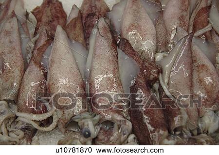 Stock Image - Fresh squids on ice offered at the fish market, full frame. Fotosearch