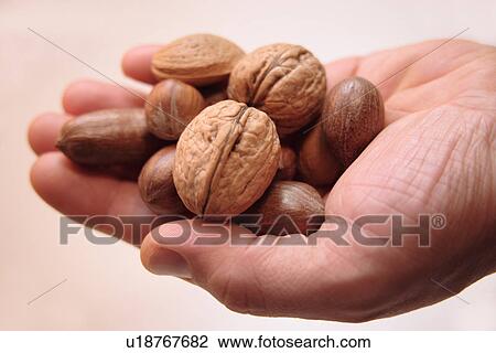 Stock Image - Male hand holding various nuts, close up. Fotosearch