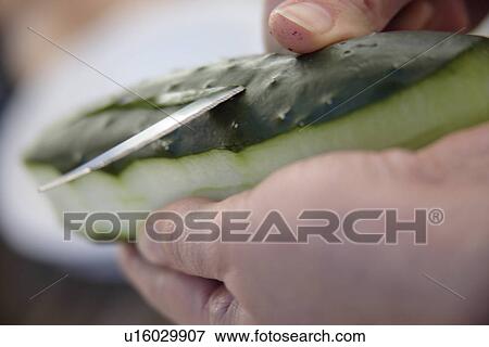 Stock Photo - Peeling and slicing fresh cucmber for salad, close up. Fotosearch