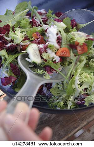 Preparing fresh salad: mixing everything in the salad bowl View Large Photo Image Stock Image - Preparing fresh salad: mixing everything in the salad bowl. Fotosearch