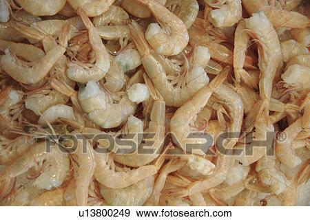 Stock Photo - Shrimps on ice offered at the fish market, full frame. Fotosearch