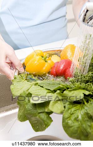 Stock Image - Hands washing vegetable. Fotosearch