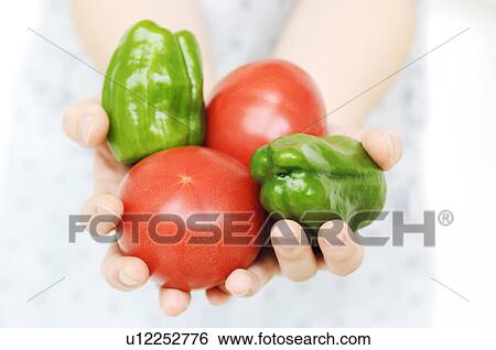 Hands with vegetables View Large Photo Image Stock Photograph - Hands with vegetables. Fotosearch