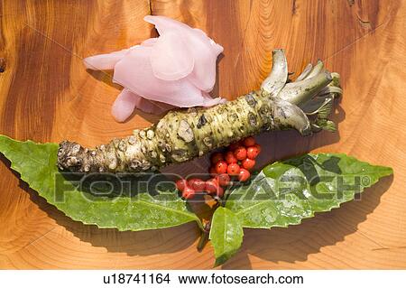 Horse-radish View Large Photo Image Picture - Horse-radish. Fotosearch
