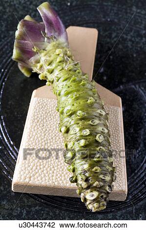 Stock Image - Horseradish. Fotosearch