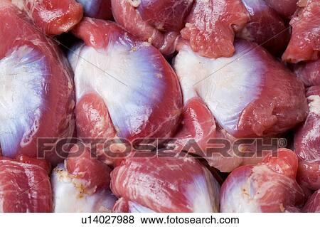Gizzard View Large Photo Image Stock Photo - Gizzard. Fotosearch