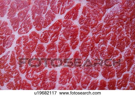 Stock Photo - Japanese beef. Fotosearch