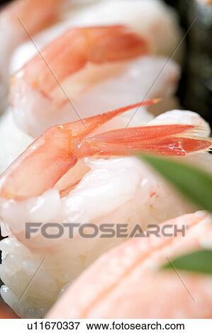 Sushi View Large Photo Image Stock Photo - Sushi. Fotosearch
