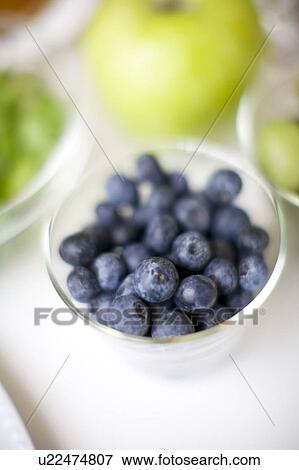Blueberry View Large Photo Image Stock Photo - Blueberry. Fotosearch