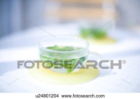 Picture - Herb tea. Fotosearch