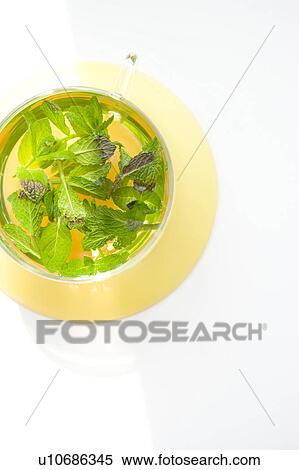 Herb tea View Large Photo Image Stock Photography - Herb tea. Fotosearch