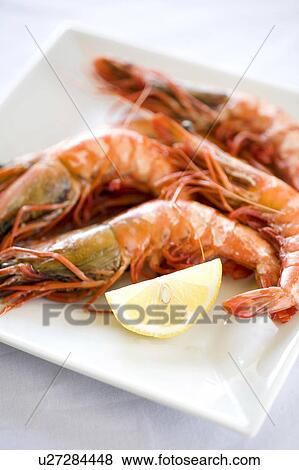 Shrimp View Large Photo Image Stock Photo - Shrimp. Fotosearch