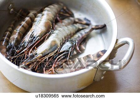 Shrimp View Large Photo Image Stock Photography - Shrimp. Fotosearch