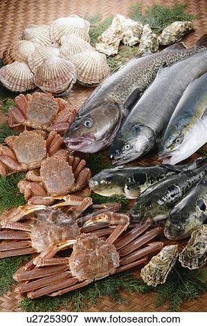 Assorted raw fish View Large Photo Image Stock Photo - Assorted raw fish. Fotosearch